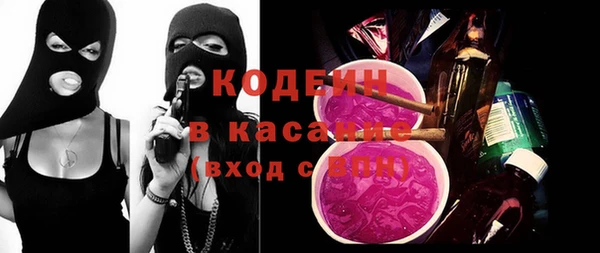 спиды Бикин