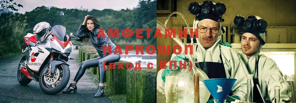 стаф Балахна