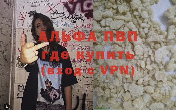 сатива Баксан